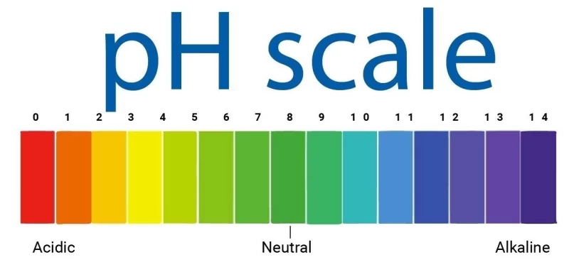 pH - Redox - ORP